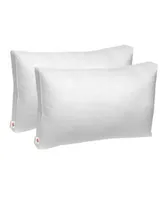 Swiss Comforts Renaissance Gusset Soft Cotton Pillow Collection