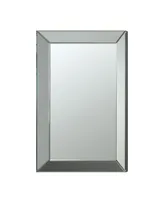 Gia Transitional Rectangle Accent Mirror