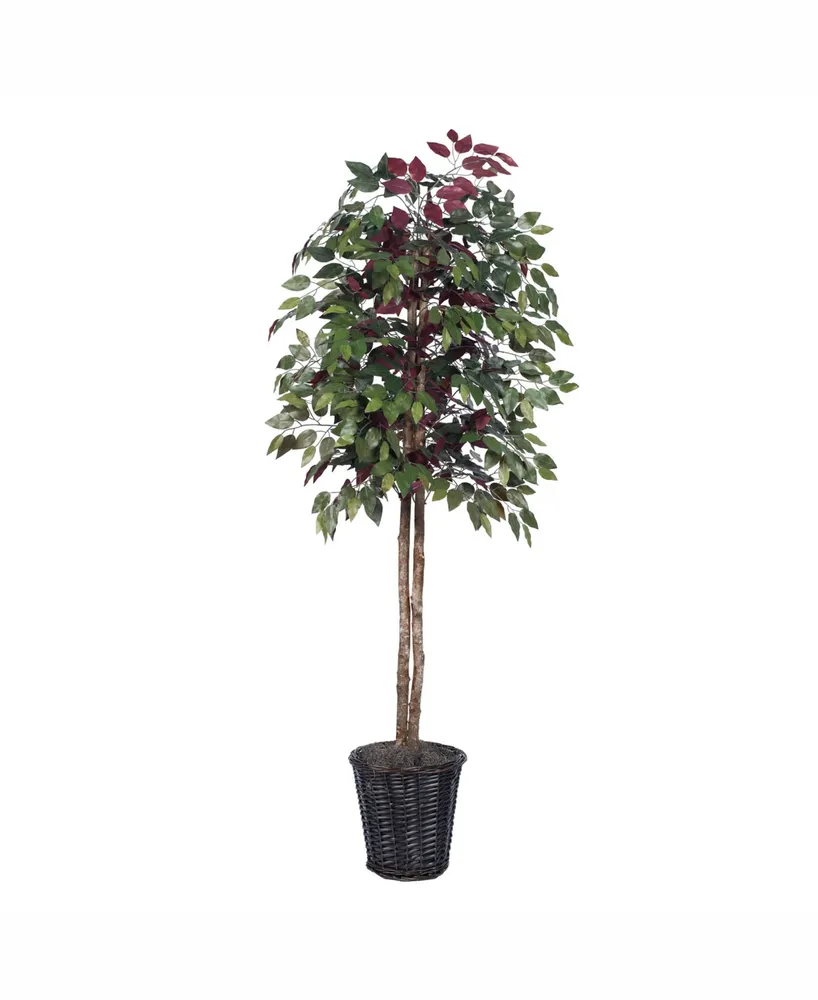 Vickerman 6' Artificial Capensia Tree