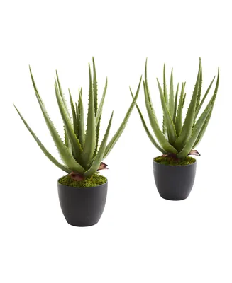 Nearly Natural Aloe Artificial Plant, Set of 2