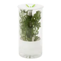 Honey Can Do Glass Herb Preserver