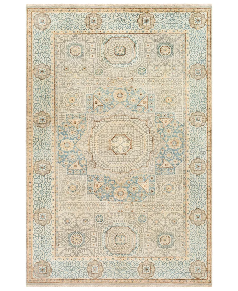 Surya Cambridge Cmb-8014 Aqua 2' x 3' Area Rug