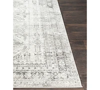 Livabliss Monte Carlo Mnc-2314 2'7" x 7'3" Area Rug