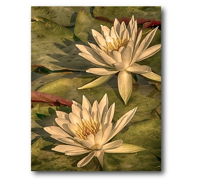 Courtside Market Lotus Dream Gallery-Wrapped Canvas Wall Art - 16" x 20"