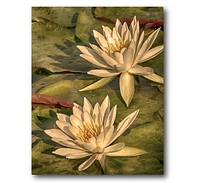 Courtside Market Lotus Dream Gallery-Wrapped Canvas Wall Art - 16" x 20"