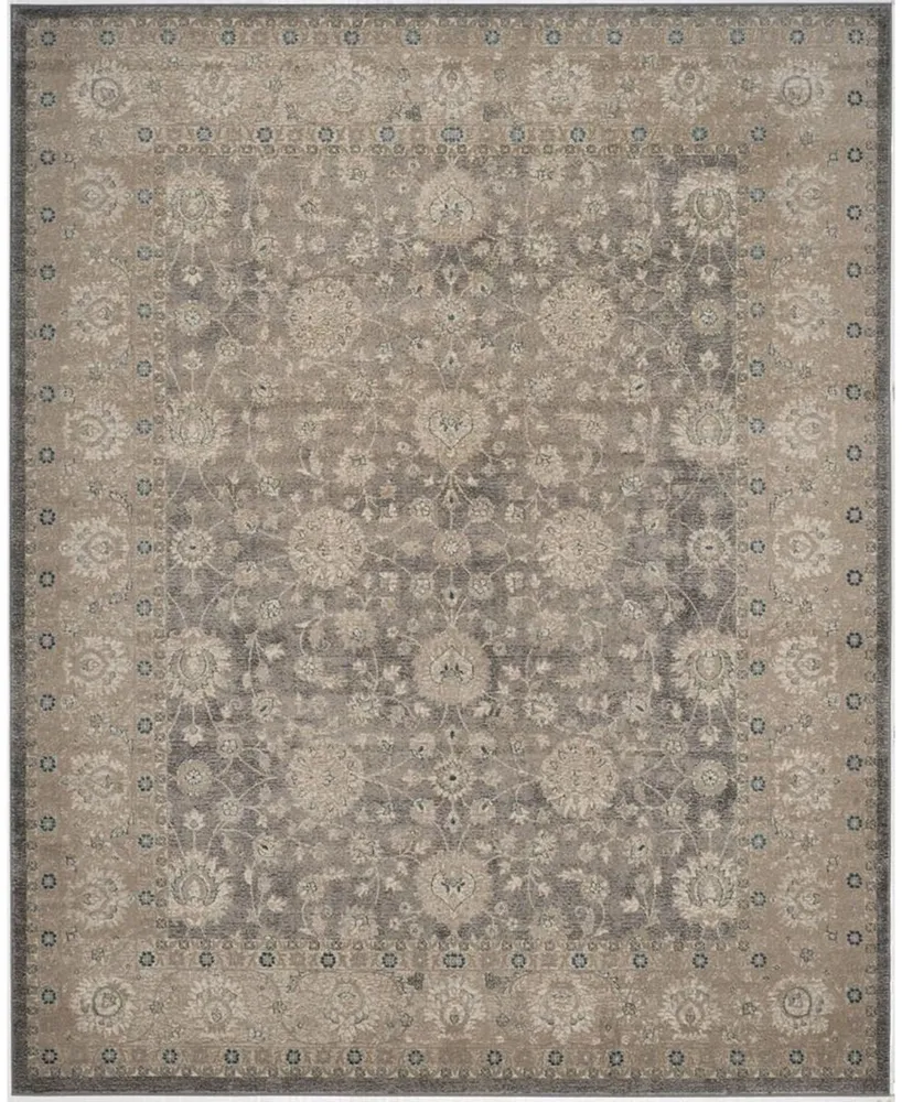 Safavieh Sofia SOF330 Light Gray and Beige 8' x 11' Area Rug