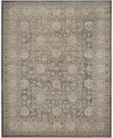 Safavieh Sofia SOF330 Light Gray and Beige 8' x 11' Area Rug