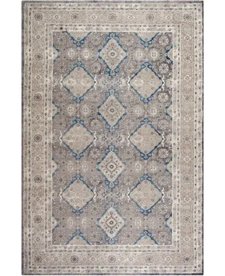 Safavieh Sofia SOF366 Light Gray and Beige 5'1" x 7'7" Area Rug