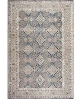 Safavieh Sofia SOF366 Light Gray and Beige 5'1" x 7'7" Area Rug