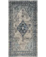 Safavieh Classic Vintage CLV113 4' x 6' Area Rug