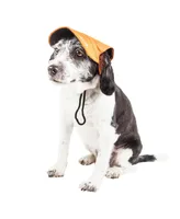 Pet Life 'Cap-Tivating' Uv Protectant Adjustable Fashion Dog Hat Cap