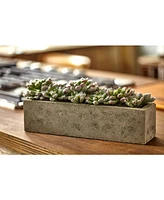 Nearly Natural Succulent Garden w/Textured Concrete Planter