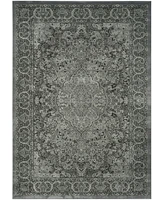 Safavieh Paradise PAR169 8' x 11'2" Area Rug