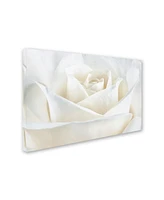 Cora Niele 'Pure White Rose' Canvas Art - 19" x 12" x 2"