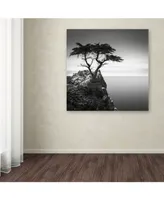 Dave MacVicar 'The Lone Cypress' Canvas Art - 18" x 18" x 2"