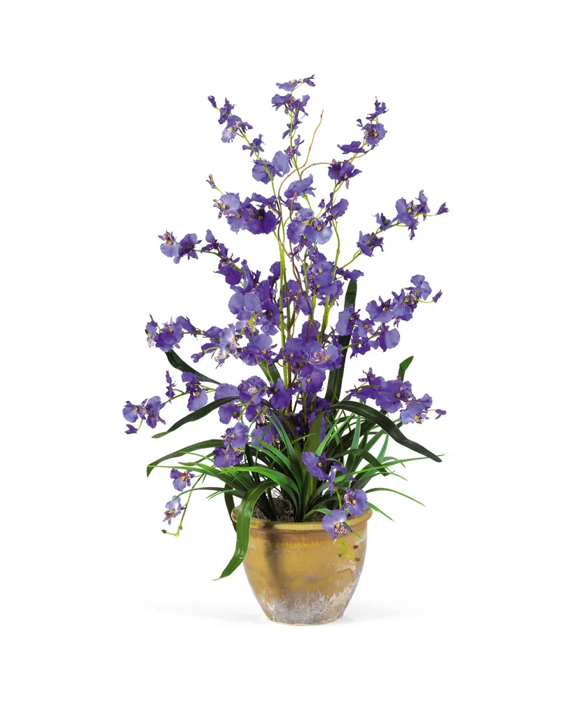Nearly Natural Dancing Lady Silk Orchid Arrangement
