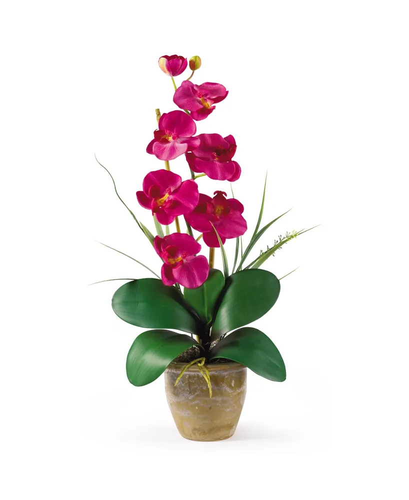 Nearly Natural Phalaenopsis Silk Orchid Flower Arrangement
