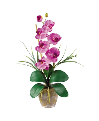 Nearly Natural Phalaenopsis Silk Orchid Flower Arrangement