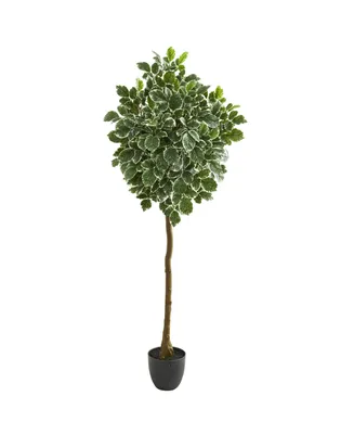 Nearly Natural 6" Variegated Aralia Artificial Tree