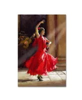 The Macneil Studio 'Flamenco' Canvas Art - 32" x 22" x 2"