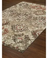 Closeout! D Style Alanna Ala10 3'3" x 5'1" Area Rug