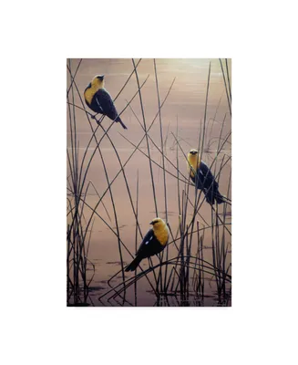 Jeff Tift 'Yellow Headed B Birds' Canvas Art - 24" x 16" x 2"