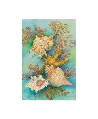 Joanne Porter 'Shells In The Deep Green Sea' Canvas Art - 24" x 16" x 2"