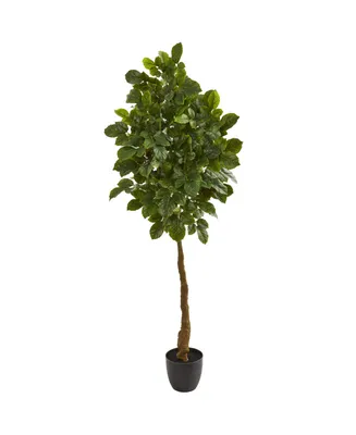 Nearly Natural 5' Beech Leaf Artificial Tree