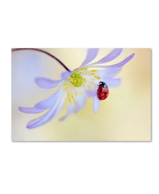 Jacky Parker 'Anemone Lady' Canvas Art - 32" x 22" x 2"