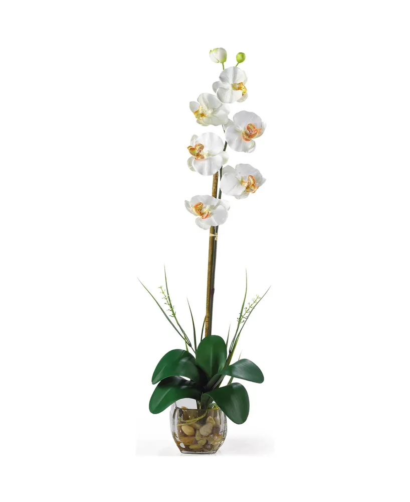 Nearly Natural Single Phalaenopsis Liquid Illusion Silk Flower Arrangement