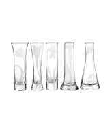 Qualia Glass Bouquet Glass Budvases, Set Of 5