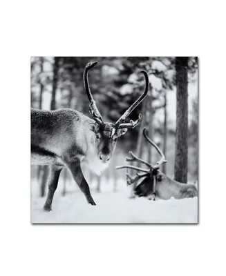 Hugh Evans 'Reindeer' Canvas Art - 14" x 14"