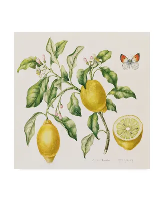 Janneke Brinkman-Salentijn 'Lemon Bouquet' Canvas Art - 18" x 18"