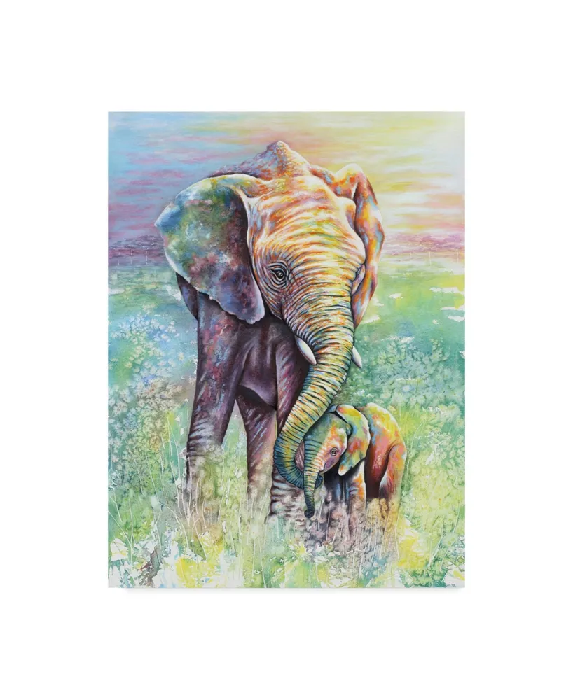 Michelle Faber 'Mother & Baby Elephant Rainbow Colors' Canvas Art - 14" x 19"