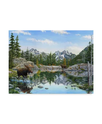 Jeff Tift 'Moose' Canvas Art - 24" x 32"