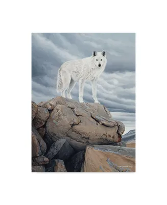 Ron Parker 'White Wolf' Canvas Art - 24" x 32"