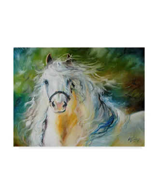 Marcia Baldwin 'White Cloud The Andalusian Stallion' Canvas Art - 47" x 35"
