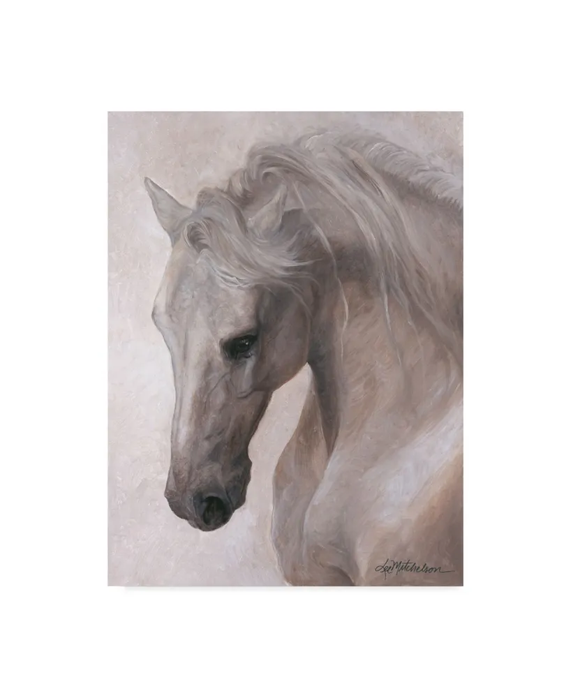 Lee Mitchelson 'Free Spirit White Horse' Canvas Art - 35" x 47"