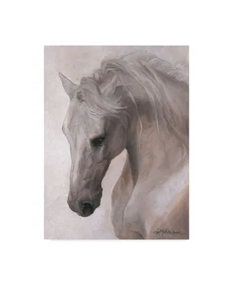 Lee Mitchelson 'Free Spirit White Horse' Canvas Art - 35" x 47"