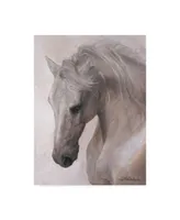 Lee Mitchelson 'Free Spirit White Horse' Canvas Art - 35" x 47"