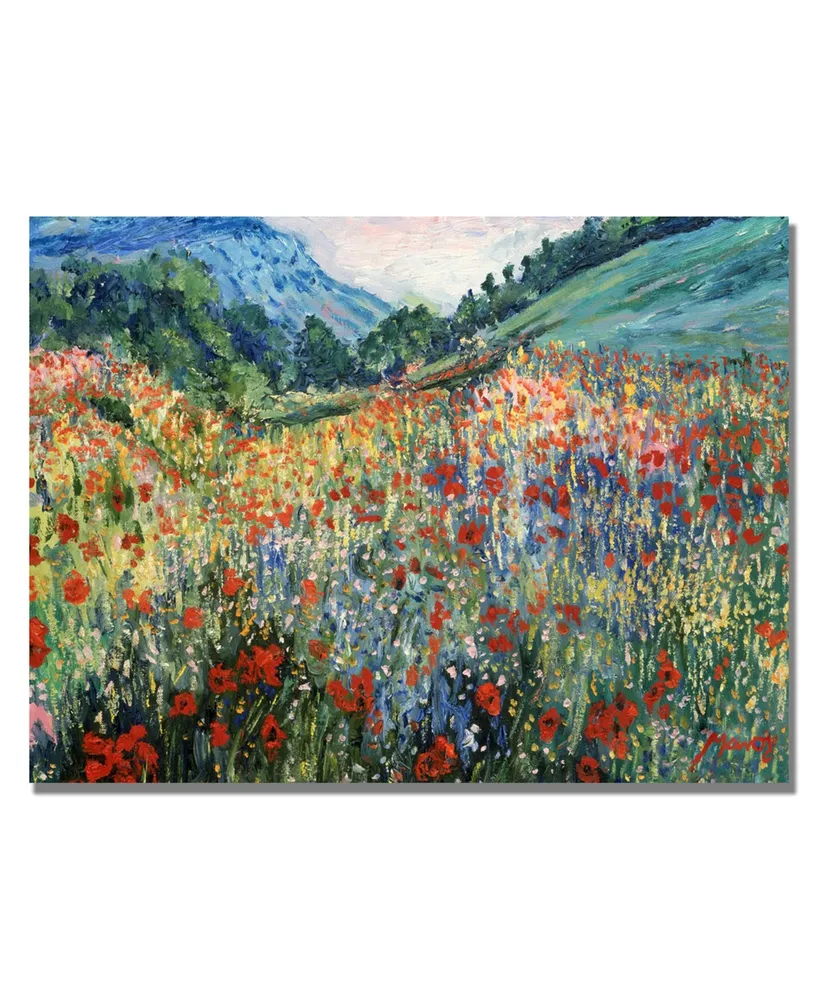 Field of Wild Flowers' Canvas Art