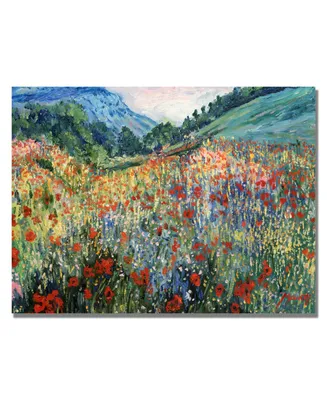Field of Wild Flowers' Canvas Art