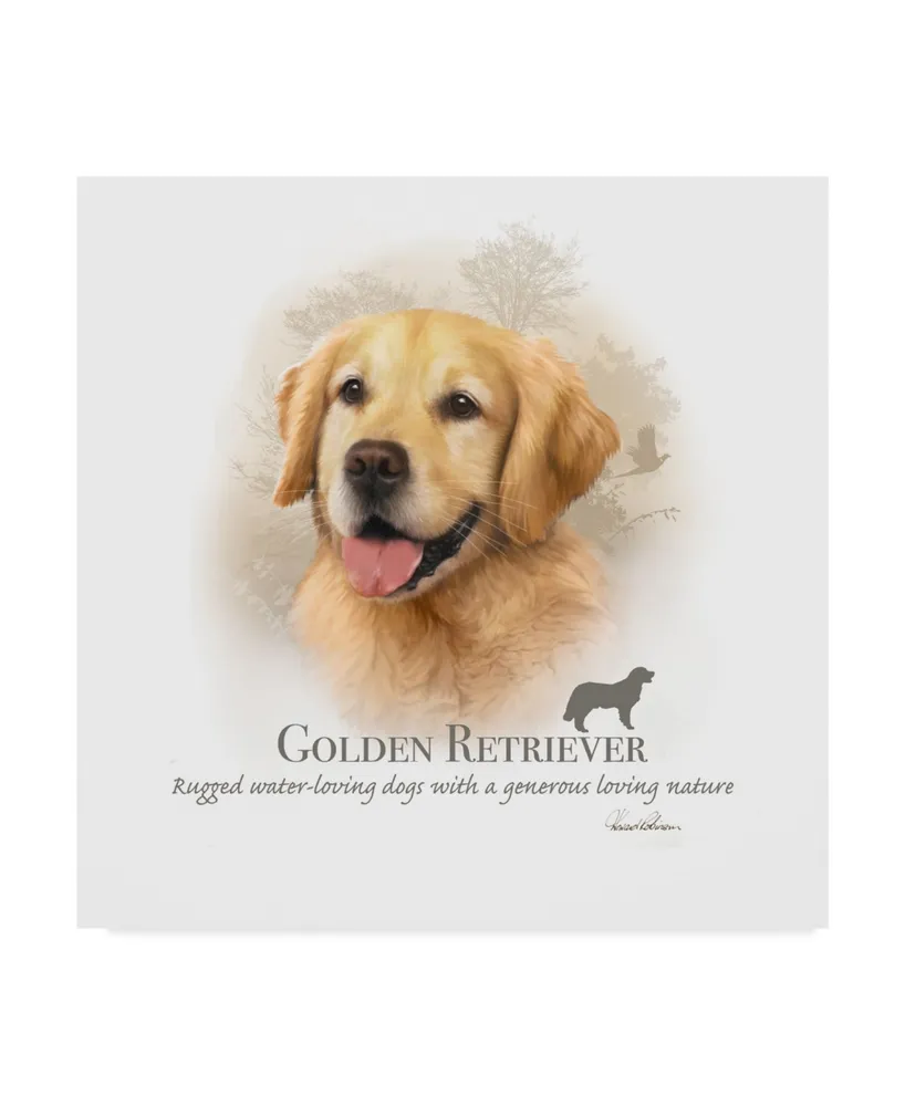 Howard Robinson 'Golden Retriever' Canvas Art