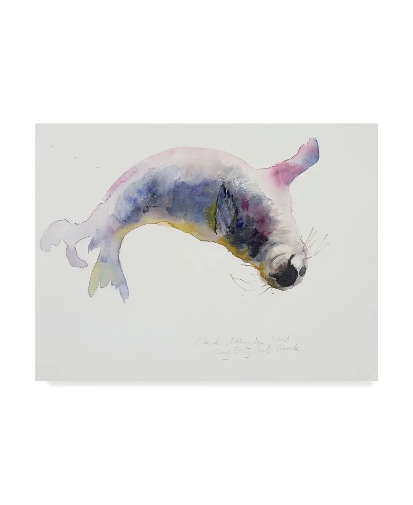 Mark Adlington 'Young Grey Seal' Canvas Art - 14" x 19"