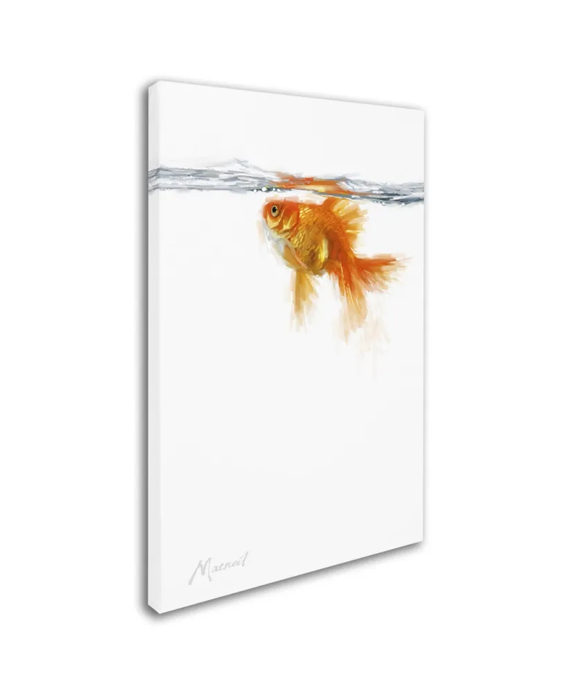 The Macneil Studio 'Goldfish' Canvas Art - 22" x 32"