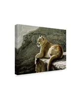 Ron Parker 'Rimrock Cougar' Canvas Art - 14" x 19"