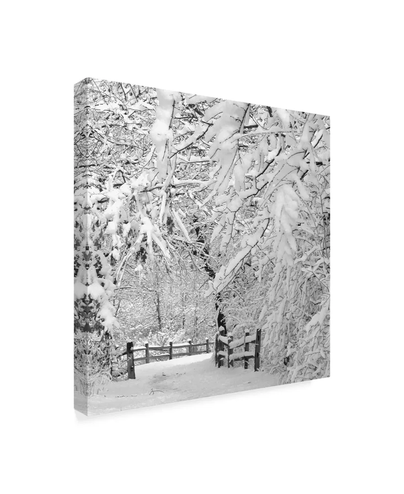 Incredi 'Winter Wonderland White' Canvas Art - 35" x 35"