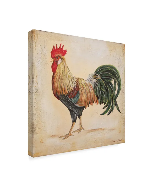 Trademark Global Jean Plout 'Rooster Feathers' Canvas Art - 18 x