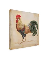 Jean Plout 'Rooster 3' Canvas Art - 35" x 35"