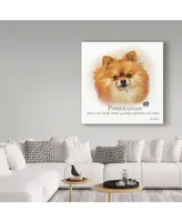 Howard Robinson 'Pomeranian' Canvas Art - 18" x 18"